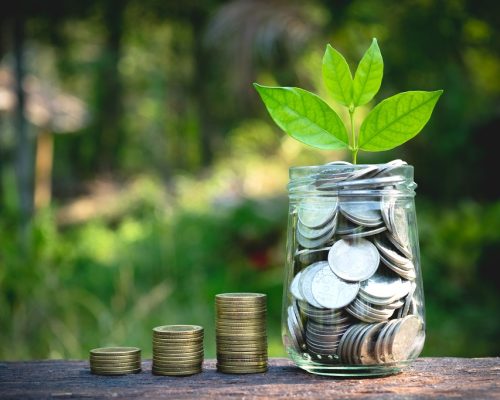 Coins in glass jar with the small tree on top Set on wooden plate, put in a green park background also some coins beside.