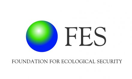 fes_logo-01-01